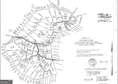 Coosawattee River Acreage For Sale in Ellijay Georgia