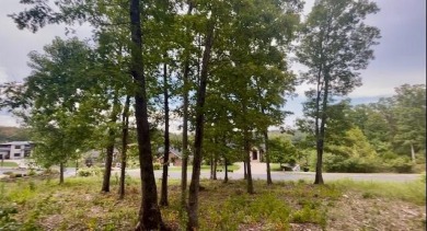 Table Rock Lake Lot For Sale in Branson Missouri