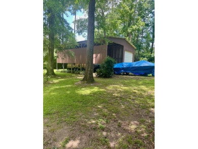 Lake Lot For Sale in Hemphill, Texas