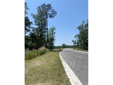 An extraordinary opportunity to own 167 acres with over a - photo 8