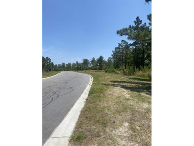 An extraordinary opportunity to own 167 acres with over a - photo 9
