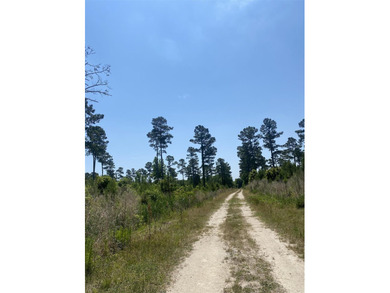 An extraordinary opportunity to own 167 acres with over a - photo 10