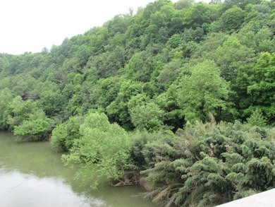 This is an opportunity for someone wanting to join the New River - photo 40