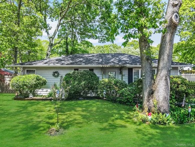 Welcome to this beautifully updated ranch offering the ease of - photo 1