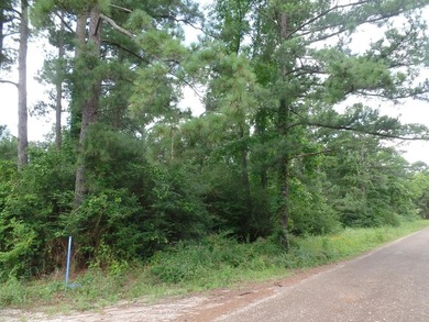 Toledo Bend Lake Lot For Sale in Shelbyville Texas