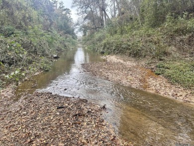 (private lake, pond, creek) Acreage For Sale in Hammond Louisiana
