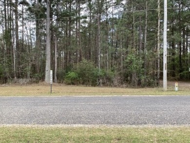 Beautiful Double Lots - Lake Lot For Sale in Pachuta, Mississippi