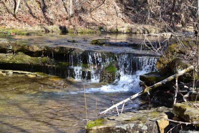 (private lake, pond, creek) Acreage For Sale in Saint Joe Arkansas