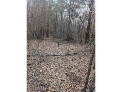 BEAUTIFUL 9.8 ACRES CALLING YOUR NAME! NO RESTRICTIONS!! - photo 3