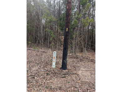 BEAUTIFUL 9.8 ACRES CALLING YOUR NAME! NO RESTRICTIONS!! - photo 4