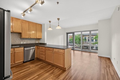 Enjoy the best of downtown Minneapolis in this inviting - photo 8