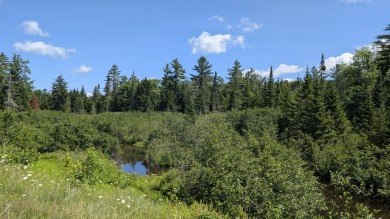 Lake Acreage For Sale in Malone, New York