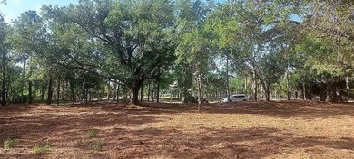 Lake Acreage For Sale in Punta Gorda, Florida