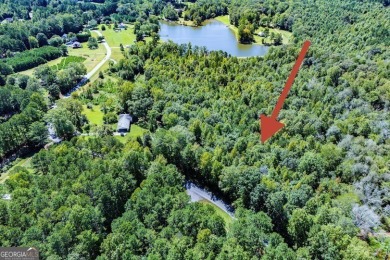 (private lake, pond, creek) Acreage For Sale in Temple Georgia