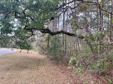 This 1.02 acre wooded lot has a rear lagoon view and is located - photo 7