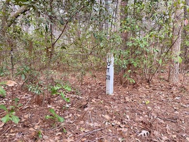 This 1.02 acre wooded lot has a rear lagoon view and is located - photo 9