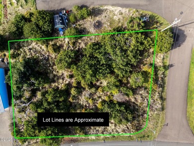 Enjoy sweeping ocean views from this .16-acre Lot, ideally - photo 5
