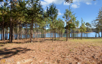 New subdivision on Lake Hartwell! Good lots are going fast so - Lake Lot For Sale in Hartwell, Georgia