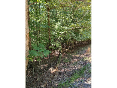 Coosawattee River - Gilmer County Lot For Sale in Ellijay Georgia