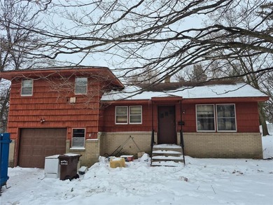 Buffalo Lake Home For Sale in Buffalo Minnesota