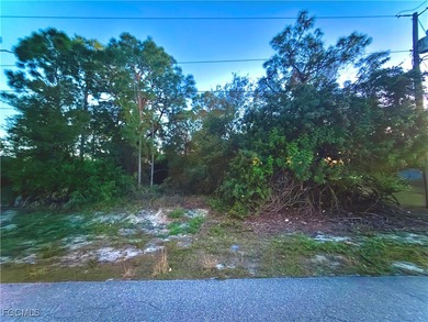 Lehigh Acres Area Lot For Sale in Lehigh Acres Florida
