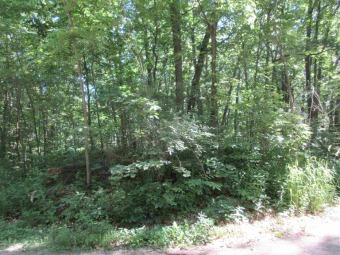 Lake Arrowhead Lot For Sale in Hudson Indiana