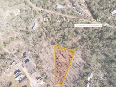 Lake Lot For Sale in Somerville, Texas
