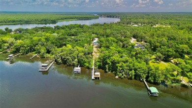 Lake Home For Sale in Welaka, Florida