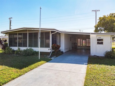 Lake Frances - Lake County Home For Sale in Tavares Florida