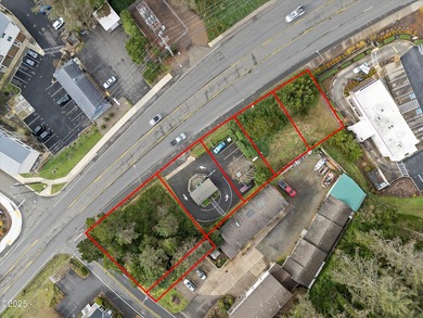 Approximately 300' of Hwy 101 frontage! 6 lots on Hwy 101 and 1 - photo 2