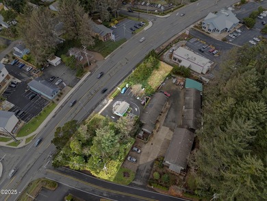 Approximately 300' of Hwy 101 frontage! 6 lots on Hwy 101 and 1 - photo 6