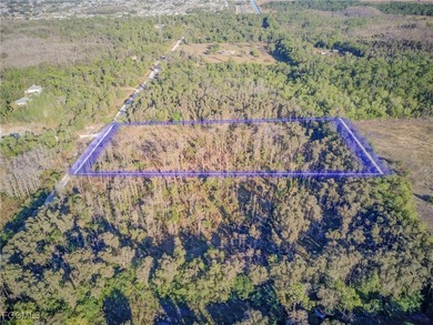 Prime 5-acre parcel ideally located near SR 82, offering - photo 4