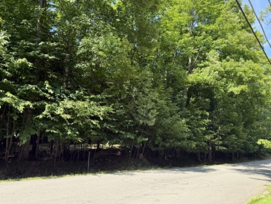 Lake Flower Lot For Sale in Saranac Lake New York