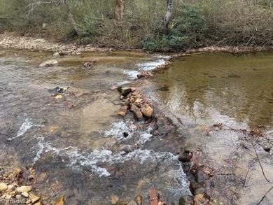 (private lake, pond, coastal) Lot For Sale in Purlear North Carolina