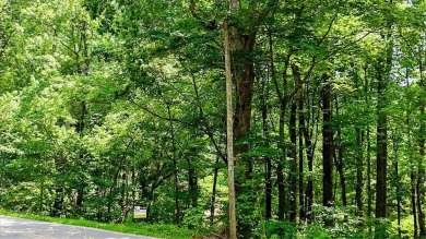 Lake Lot For Sale in Jasper, Georgia