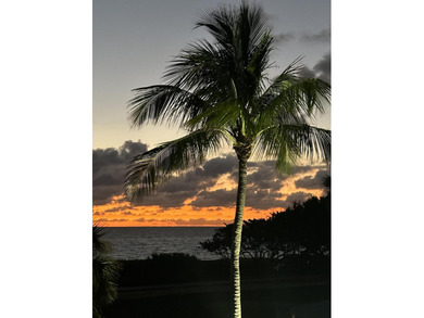 This beautifully updated 3 BR, 2.5 BA corner unit offers - photo 44