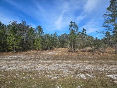 Lake Weohyakapka Lot For Sale in Indian Lake Estates Florida