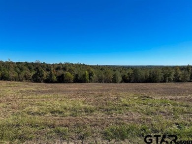 (private lake, pond, creek) Acreage For Sale in Henderson Texas