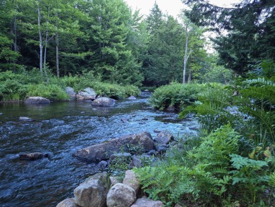 (private lake, pond, creek) Home Sale Pending in Dickinson Center New York