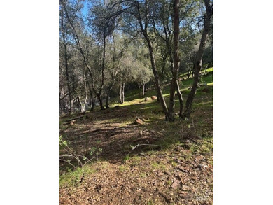 Lake Berryessa Lot For Sale in Pope Valley California