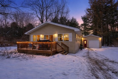 School Section Lake - Mecosta County Home For Sale in Mecosta Michigan