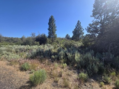 Agency Lake Lot For Sale in Chiloquin Oregon
