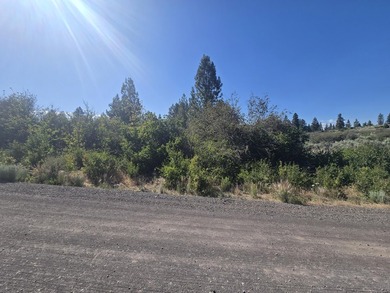 Discover the beauty of this scenic 0.31-acre corner lot in - photo 2