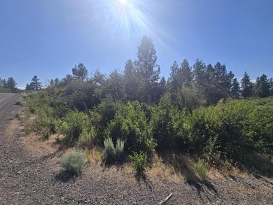 Discover the beauty of this scenic 0.31-acre corner lot in - photo 3
