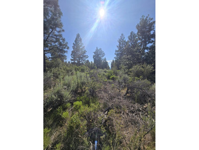 Discover the beauty of this scenic 0.31-acre corner lot in - photo 5