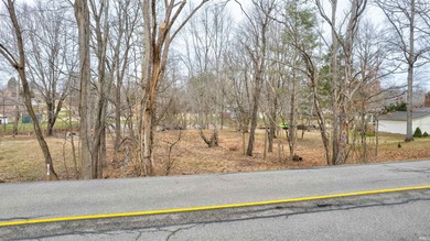 LAKEFRONT LOT. Enjoy all of the fabulous amenities of Christmas - photo 2