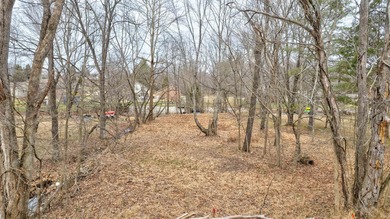 LAKEFRONT LOT. Enjoy all of the fabulous amenities of Christmas - photo 4