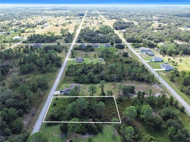 Lehigh Acres Area Lot For Sale in Lehigh Acres Florida