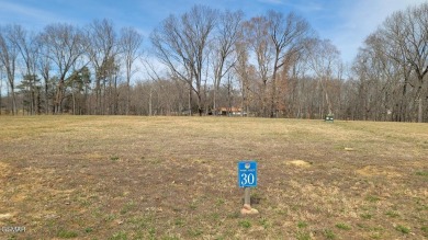 Lake Lot For Sale in Baneberry, Tennessee