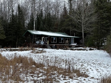 East Fork Chippewa River - Iron County Home For Sale in Butternut Wisconsin